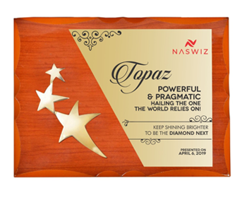 Contribution award made of star and wood