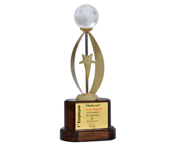 award made with globe and metal