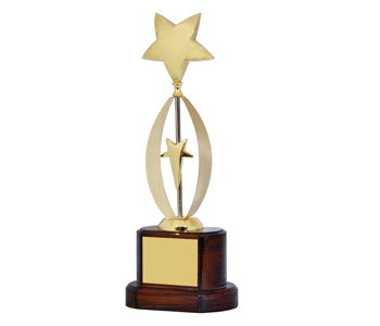 star-trophy image