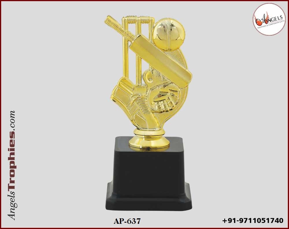 Crystal Cricket Sports Trophy Awards Momentos at Rs 500/piece, Crystal  Trophies in Delhi